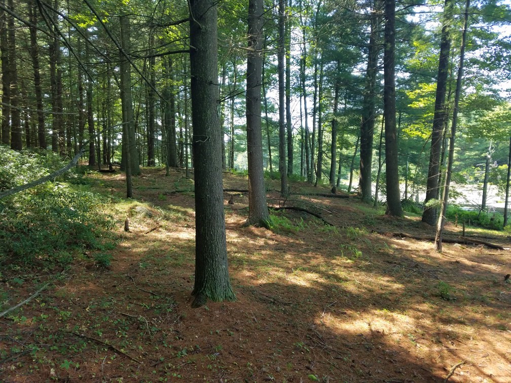 266 Holland Road Sturbridge, MA 01518 - Photo 5 of 19 Gallery Image 5