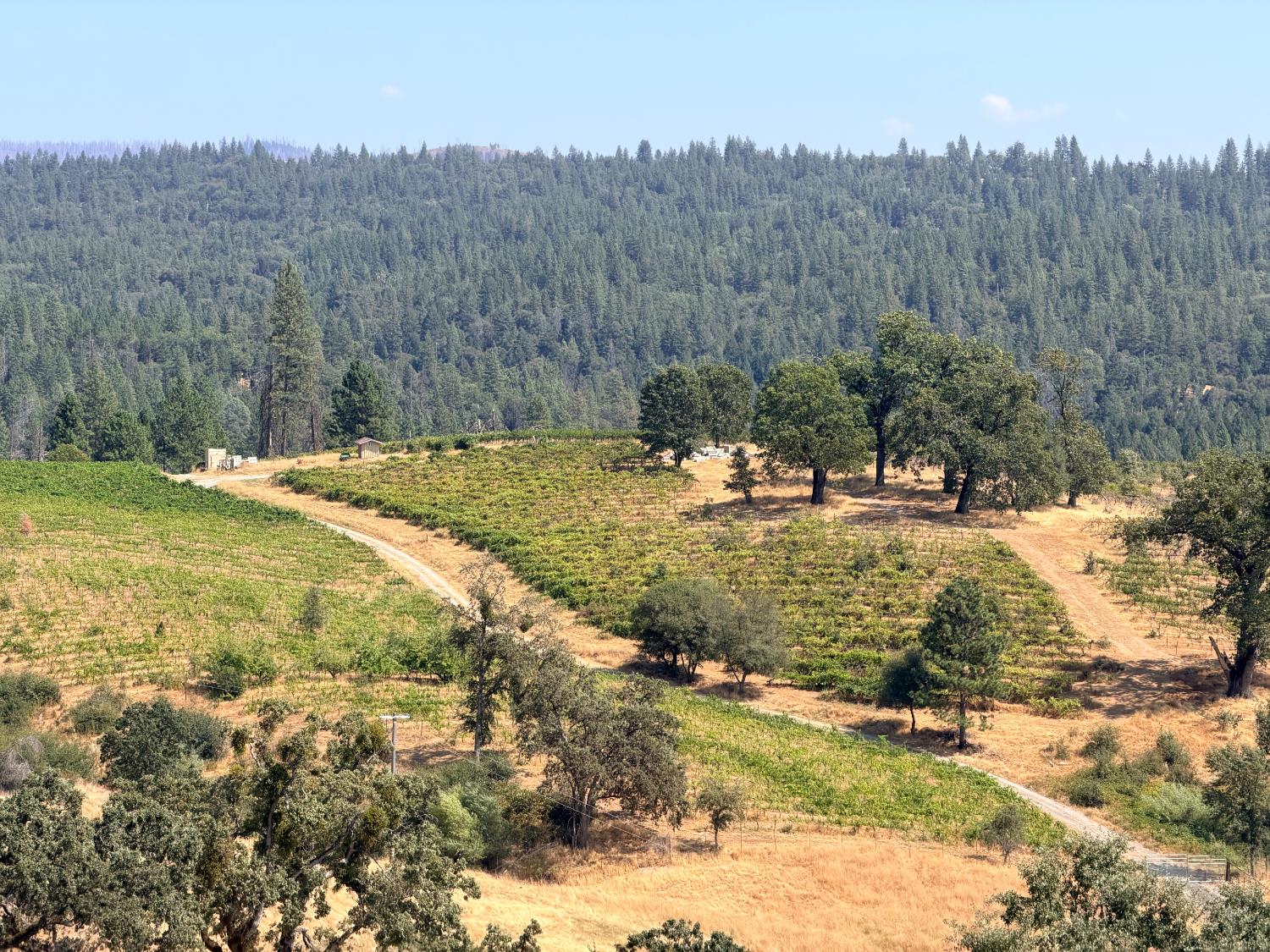 5200 Butte Creek Road Somerset, CA 95684 - Photo 28 of 30 Gallery Image 28