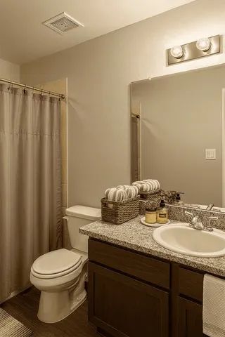 a bathroom with a granite countertop toilet sink and mirror