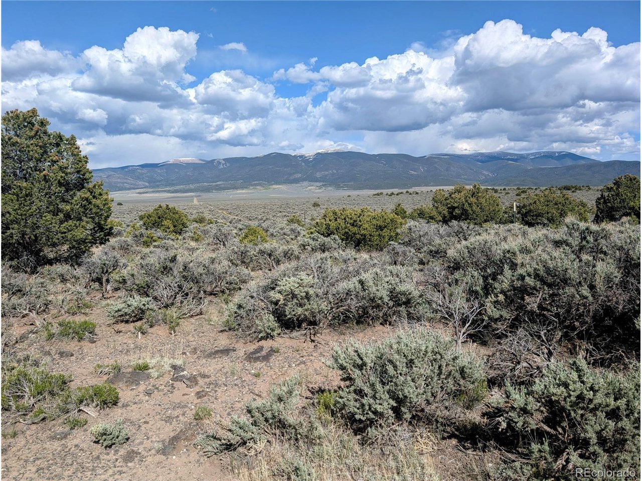 a view of a bunch of trees