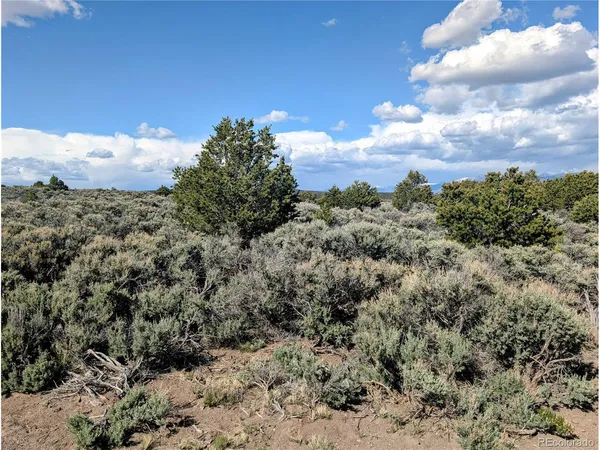 a view of a covered with trees in the background