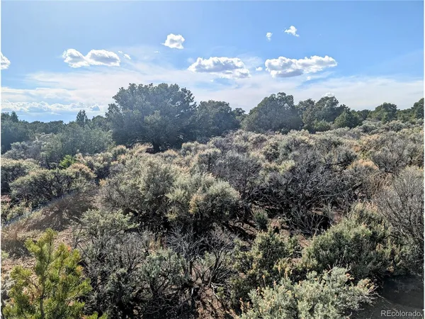 a view of mountain view with lots of trees