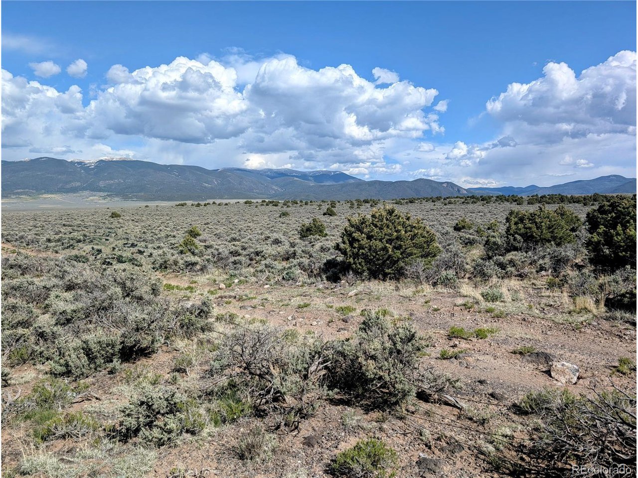35 Elk Park Road San Luis, CO 81152 - Photo 2 of 34 a view of a dry yard with lots of trees
