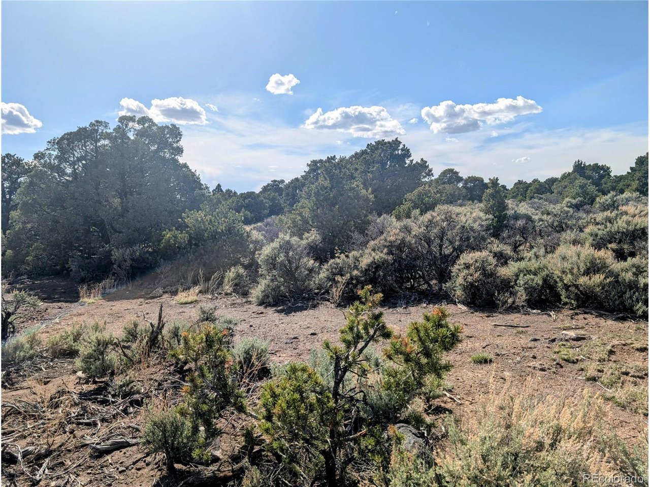 35 Elk Park Road San Luis, CO 81152 - Photo 24 of 34 a view of a covered with trees in the background