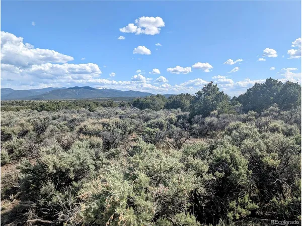 a view of a yard with lots of trees