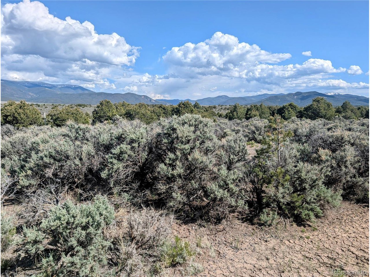 35 Elk Park Road San Luis, CO 81152 - Photo 7 of 34 a view of a bunch of trees