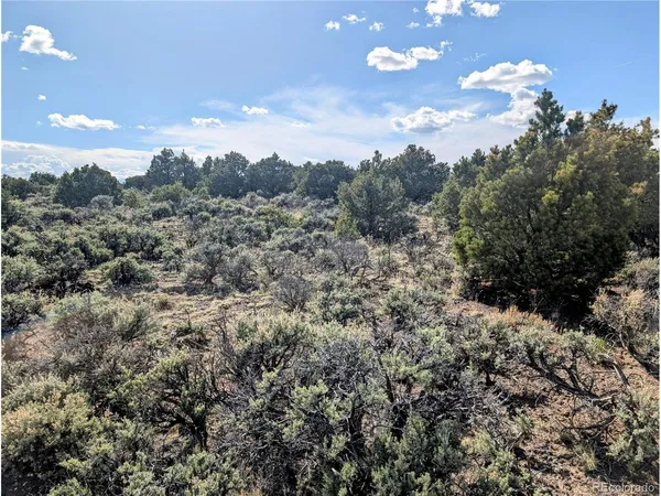 a view of a city with lush green forest