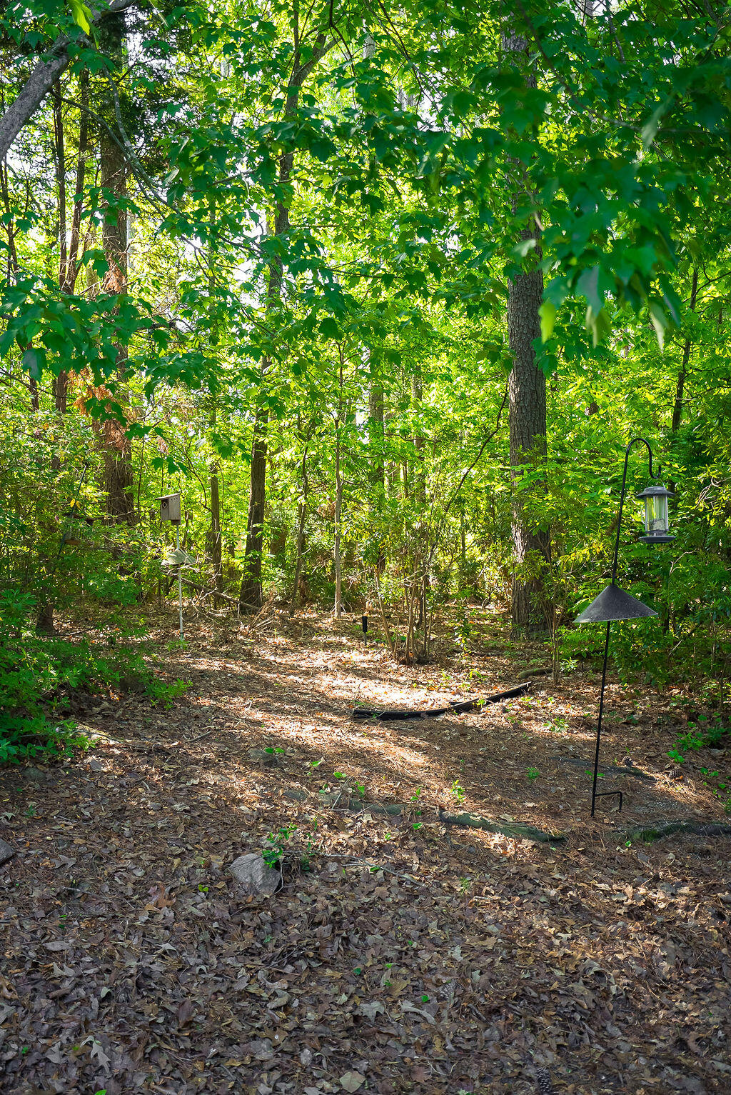 259 Forest Pines Road Aiken, SC 29803 - Photo 38 of 38