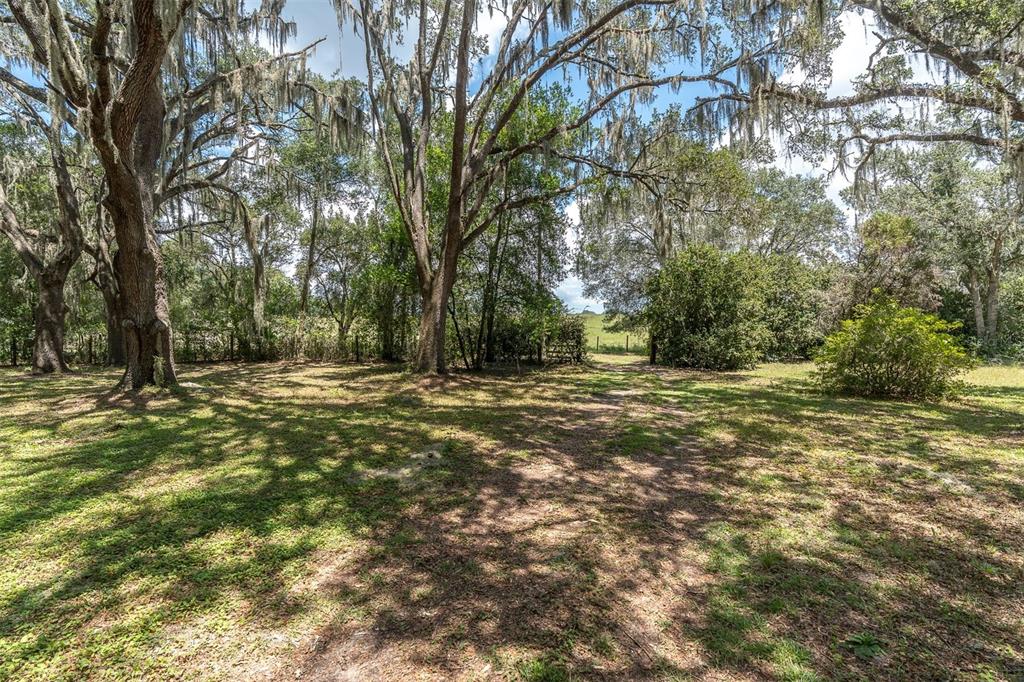 7224 Shaw Road Brooksville, FL 34602 - Photo 41 of 50 Gallery Image 41