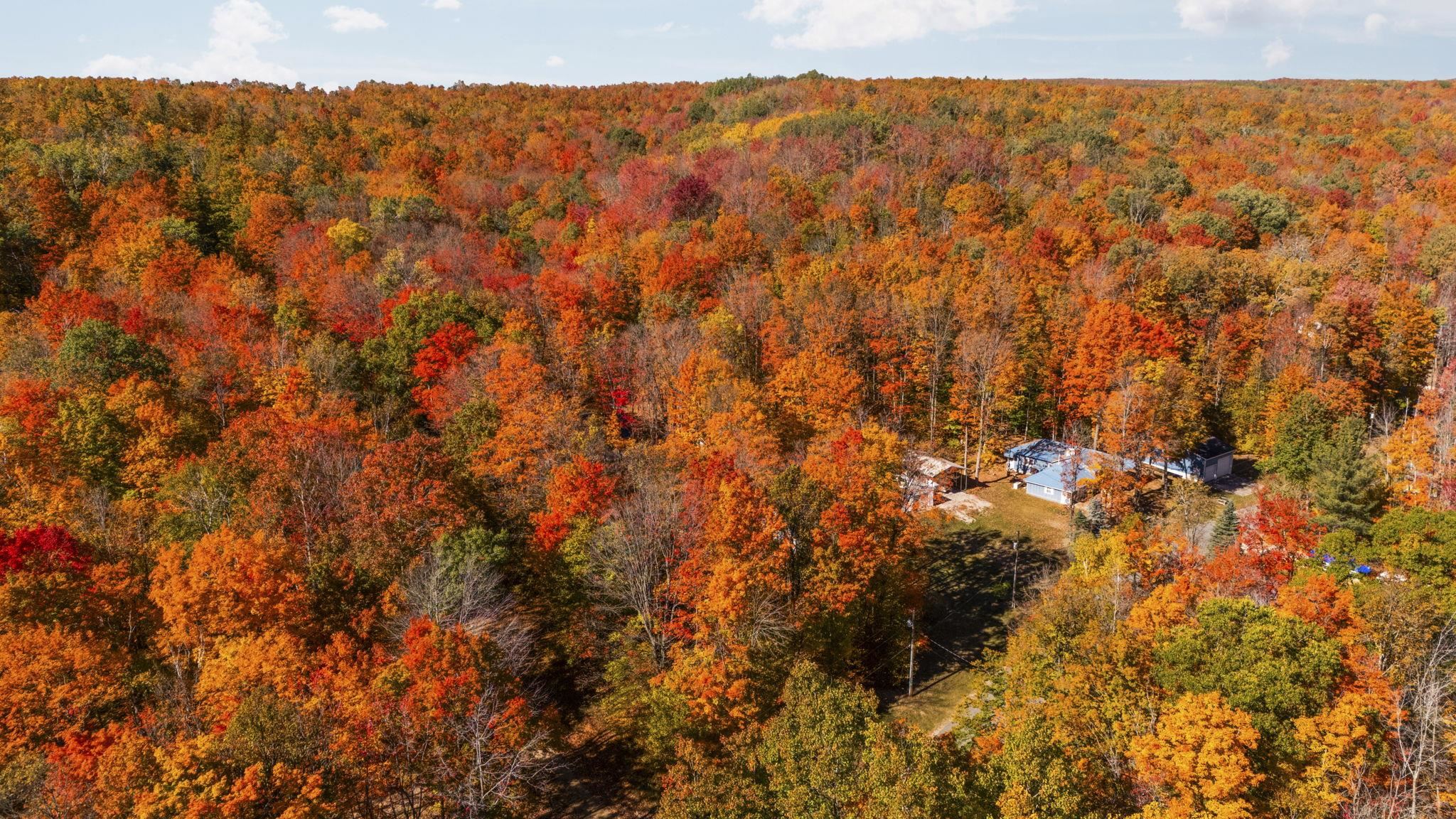 7149 West Blue Lake Road Northeast Kalkaska, MI 49646 - Photo 35 of 67