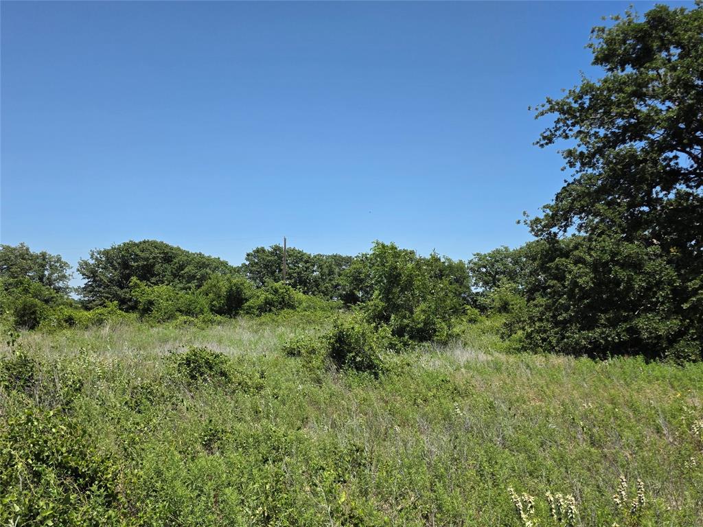 1000 County Road 375 Rising Star, TX 76471 - Photo 37 of 40