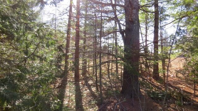 Lot 52-6 Mariaville Road Ellsworth, ME 04605 - Photo 15 of 19 Photo