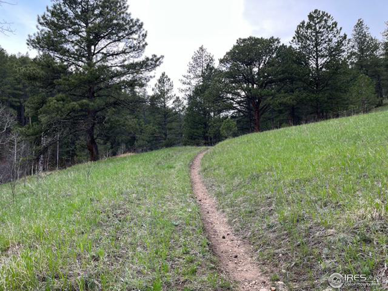 1111 Primos Road Boulder, CO 80302 - Photo 18 of 29