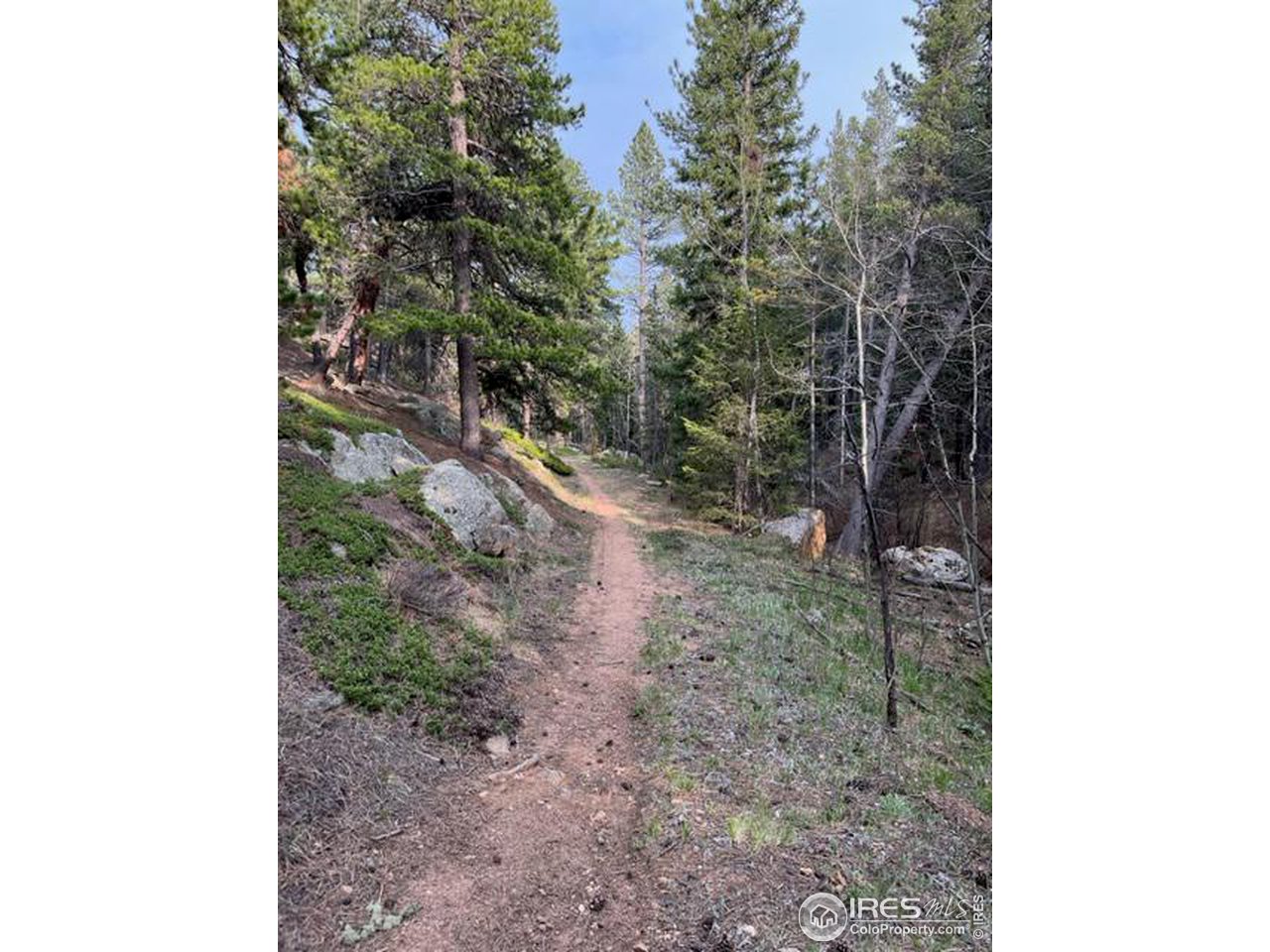 1111 Primos Road Boulder, CO 80302 - Photo 20 of 29