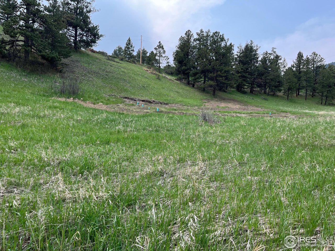 1111 Primos Road Boulder, CO 80302 - Photo 22 of 29