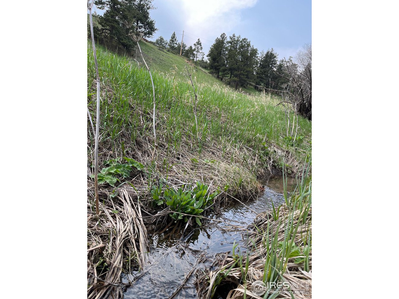 1111 Primos Road Boulder, CO 80302 - Photo 23 of 29