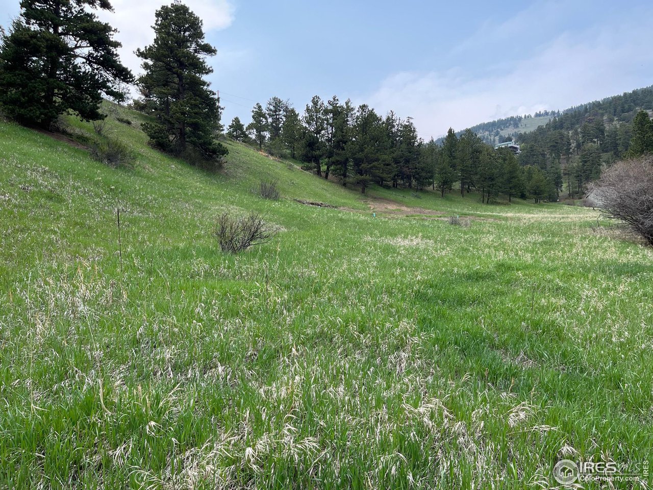 1111 Primos Road Boulder, CO 80302 - Photo 25 of 29