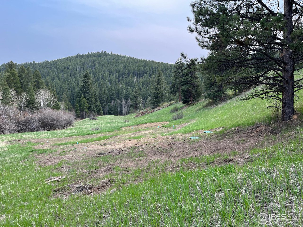 1111 Primos Road Boulder, CO 80302 - Photo 27 of 29