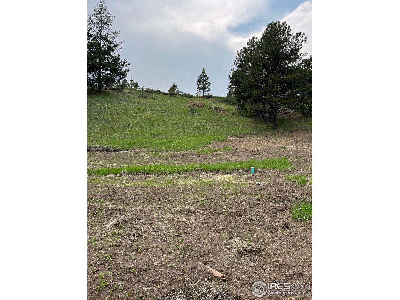 1111 Primos Road Boulder, CO 80302 - Photo 28 of 29