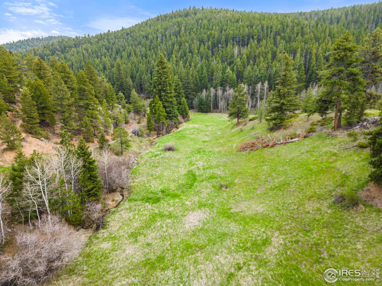 1111 Primos Road Boulder, CO 80302 - Photo 4 of 29