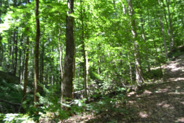 0 Pea Ridge Fire Tower Road Celina, TN 38551 - Photo 29 of 53