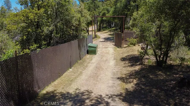a view of path along with trees