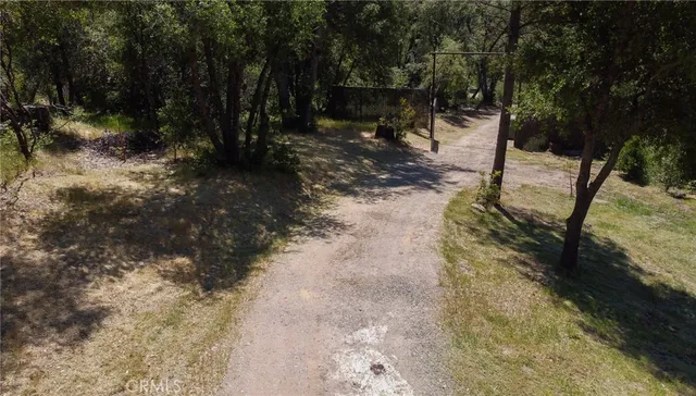 a view of a yard with trees