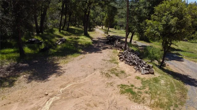 a view of a yard with plants and trees