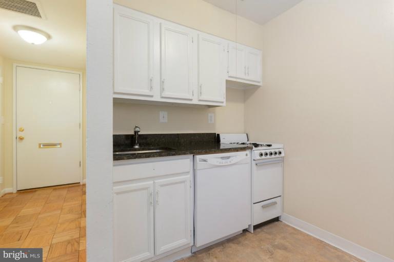 725 Delaware Avenue Southwest, Unit 218 Washington, DC 20024 - Photo 19 of 22 Interior (General)