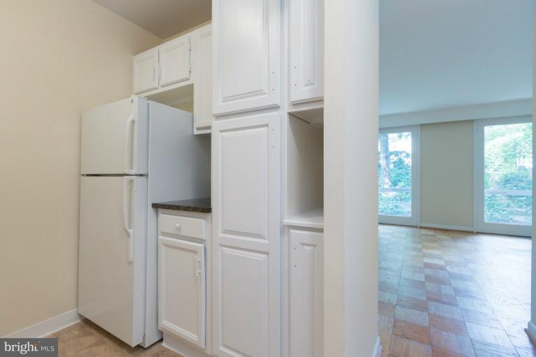 725 Delaware Avenue Southwest, Unit 218 Washington, DC 20024 - Photo 5 of 22 Interior (General)