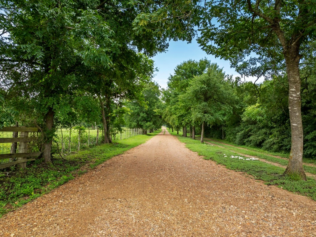 202 Blackberry Lane Washington, TX 77880 - Photo 6 of 43