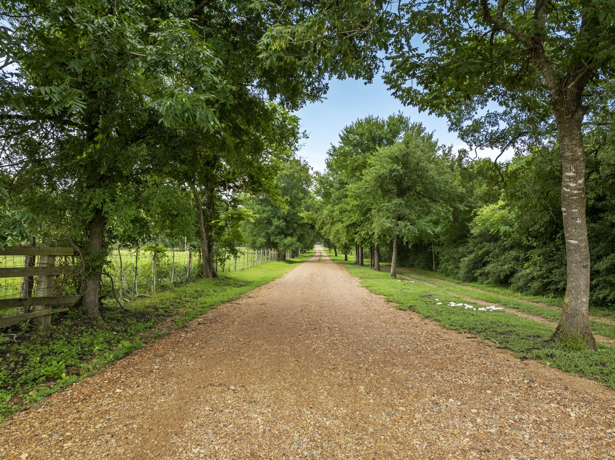 202 Blackberry Lane Washington, TX 77880 - Photo 6 of 43
