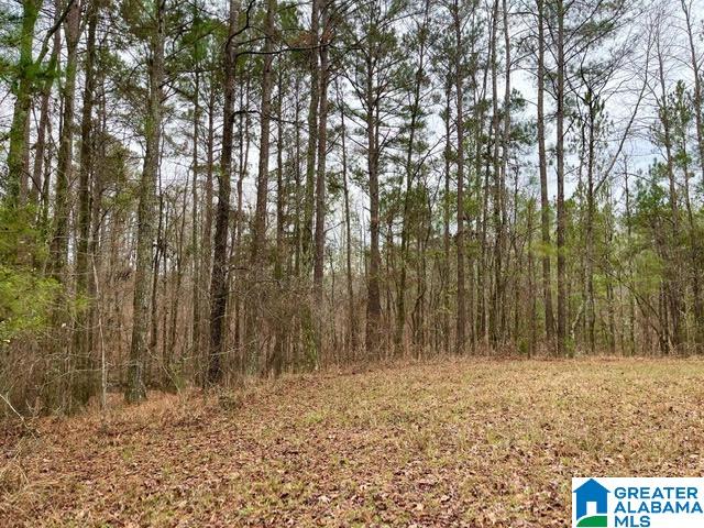 0 Deaver Walker Road Trafford, AL 35172 - Photo 8 of 28