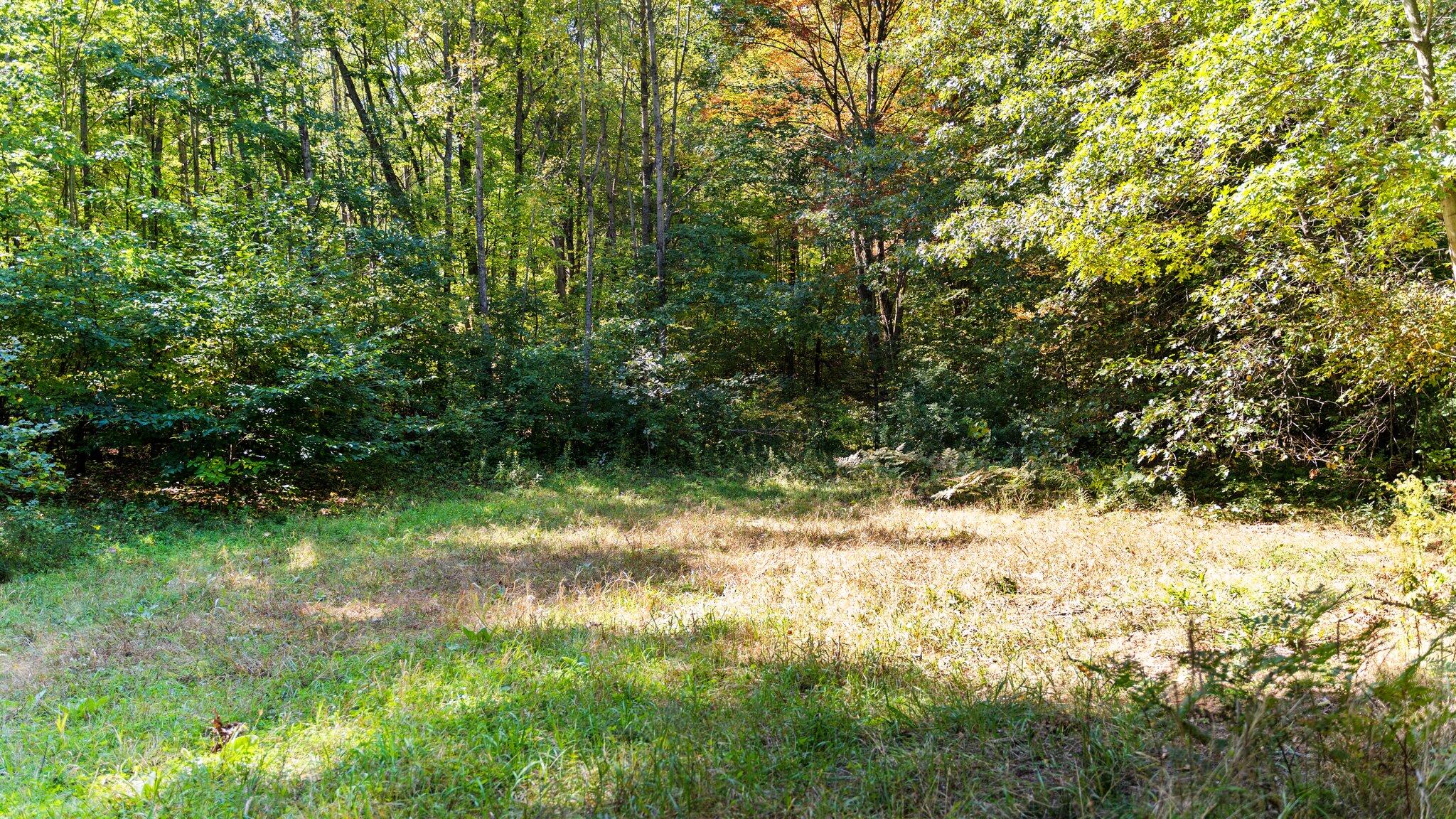 Taft Road Mecosta, MI 49332 - Photo 11 of 29 18-web-or-mls-DSC03155
