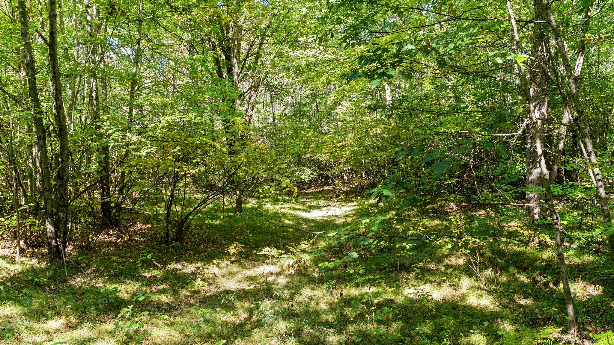 Taft Road Mecosta, MI 49332 - Photo 12 of 29 23-web-or-mls-DSC03160