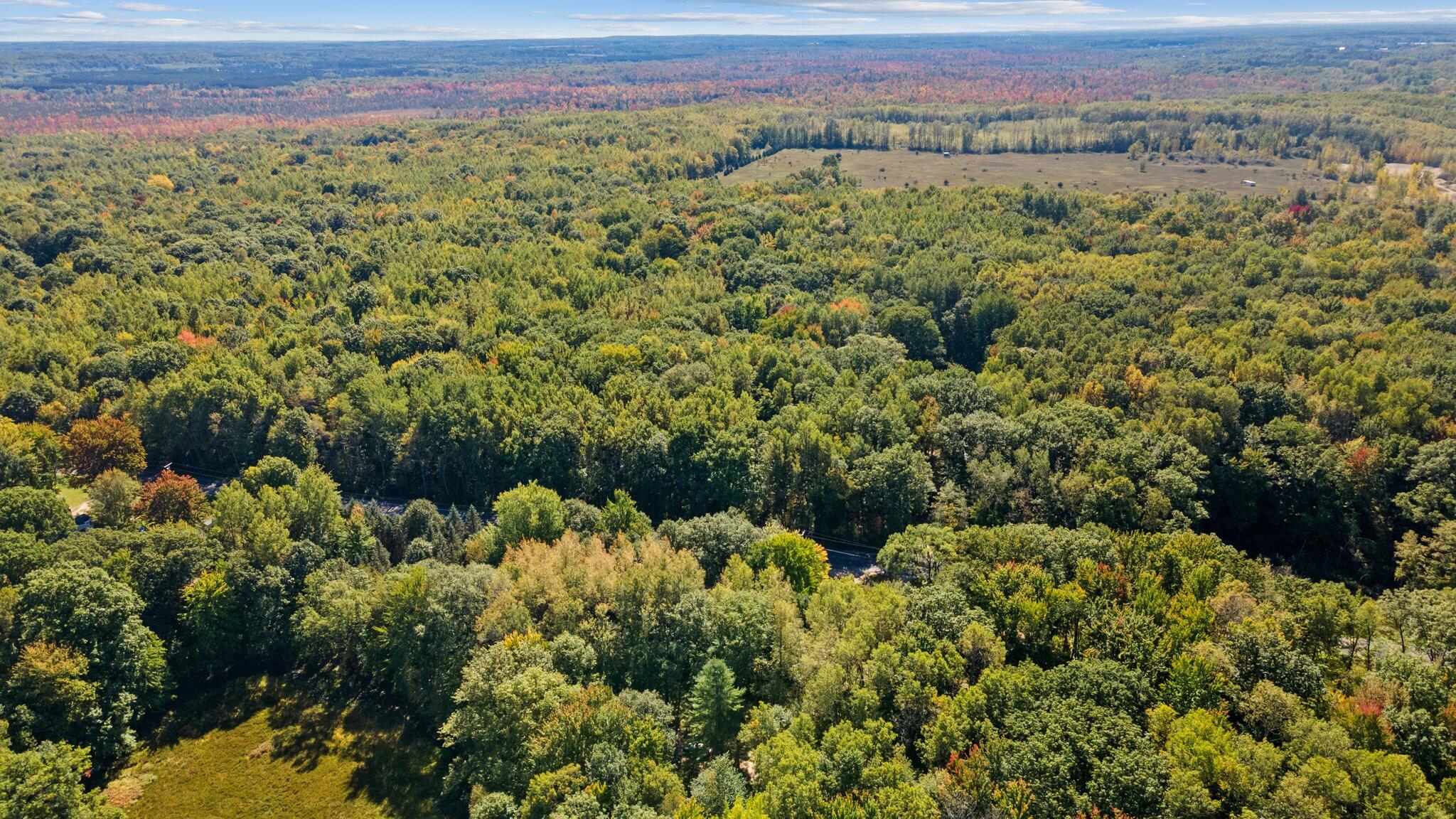 Taft Road Mecosta, MI 49332 - Photo 16 of 29 2-web-or-mls-DJI_0233