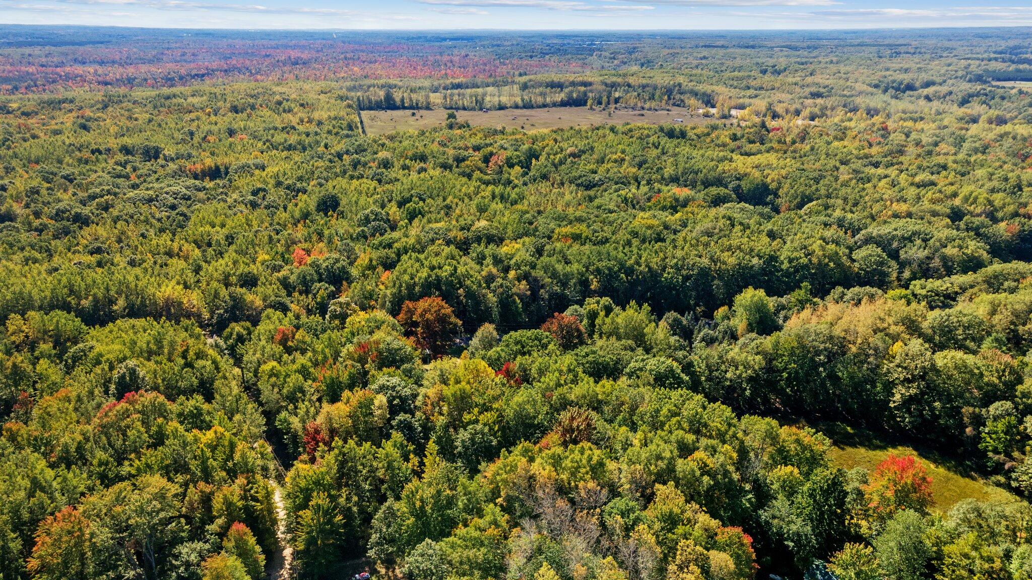 Taft Road Mecosta, MI 49332 - Photo 19 of 29 5-web-or-mls-DJI_0239