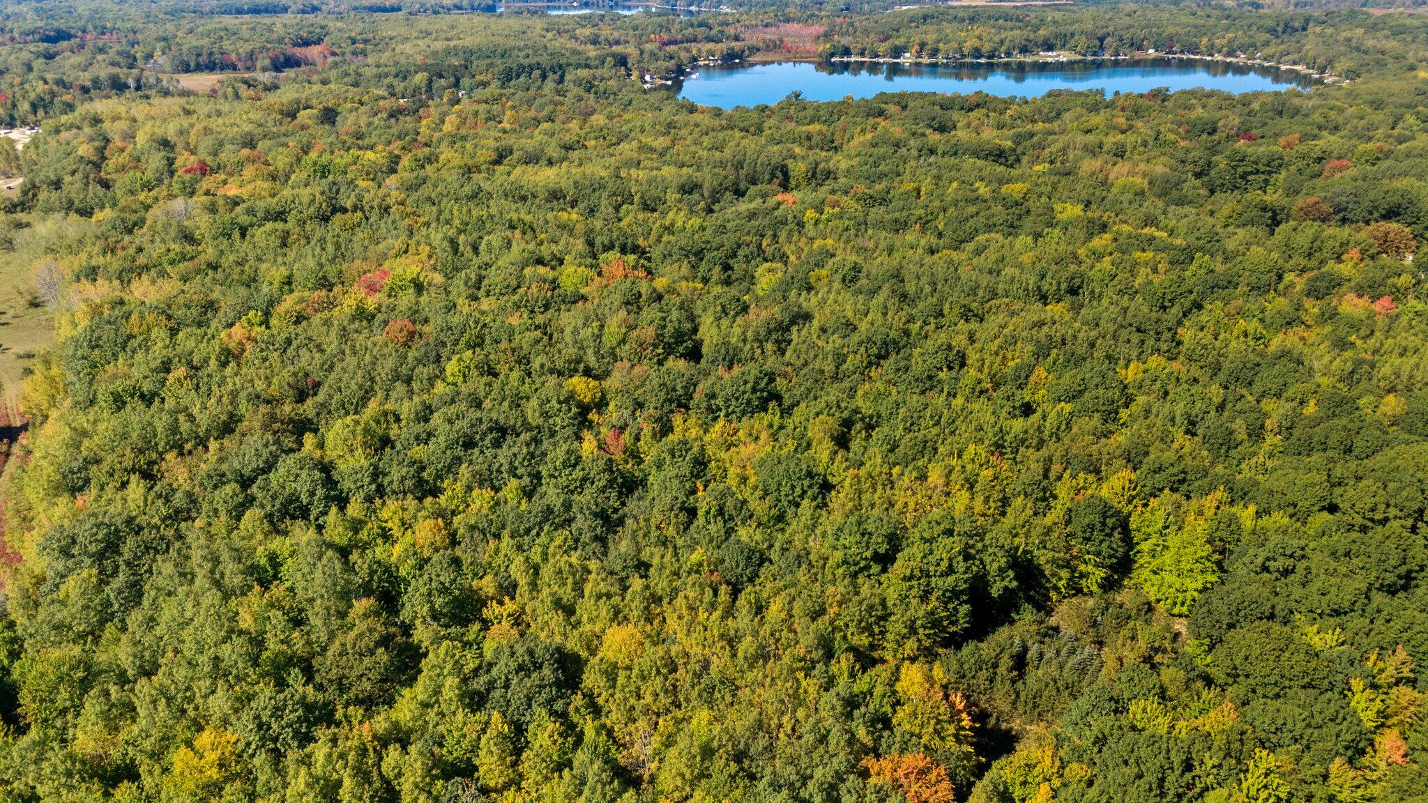 Taft Road Mecosta, MI 49332 - Photo 21 of 29 9-web-or-mls-DJI_0251