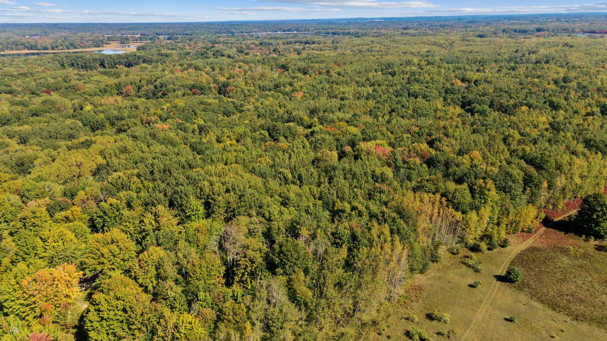 Taft Road Mecosta, MI 49332 - Photo 22 of 29 12-web-or-mls-DJI_0260