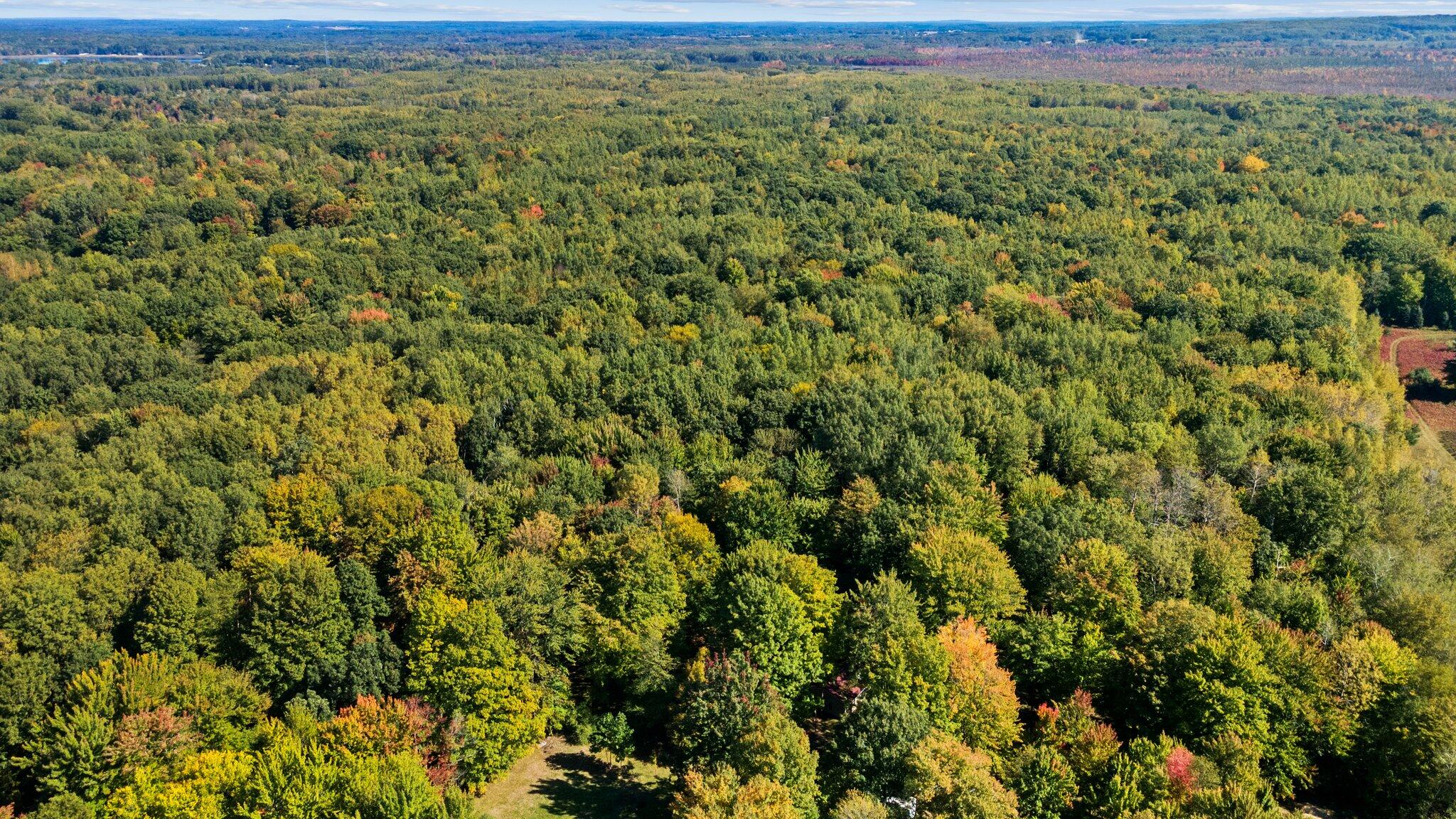 Taft Road Mecosta, MI 49332 - Photo 23 of 29 13-web-or-mls-DJI_0263