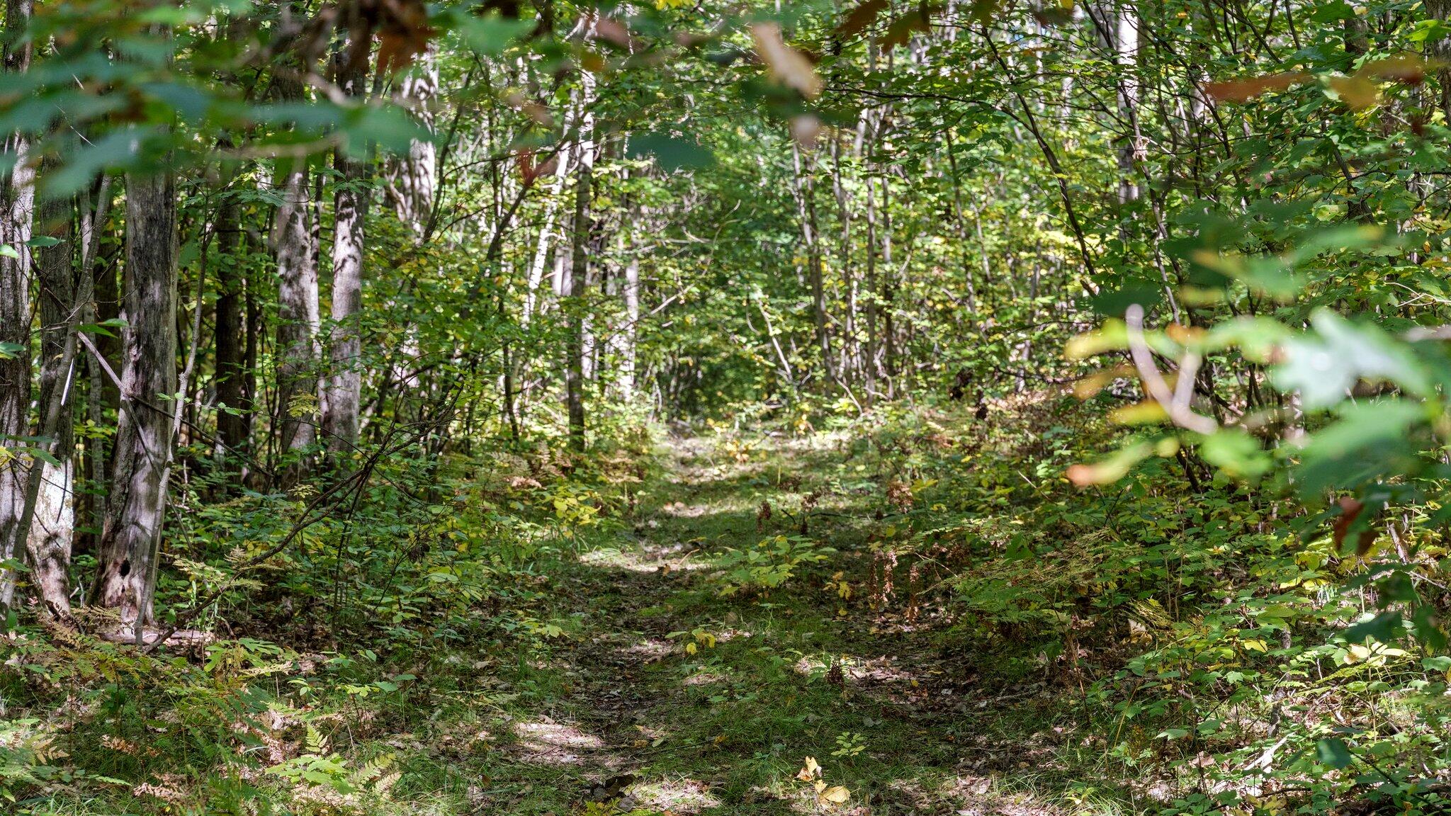 Taft Road Mecosta, MI 49332 - Photo 29 of 29 28-web-or-mls-DSC03166