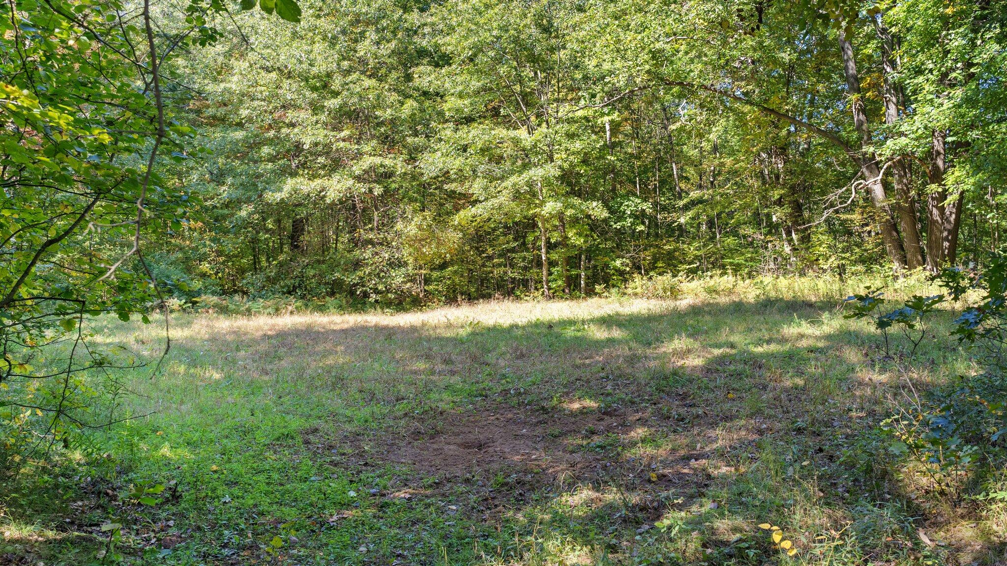 Taft Road Mecosta, MI 49332 - Photo 3 of 29 33-web-or-mls-DSC03171