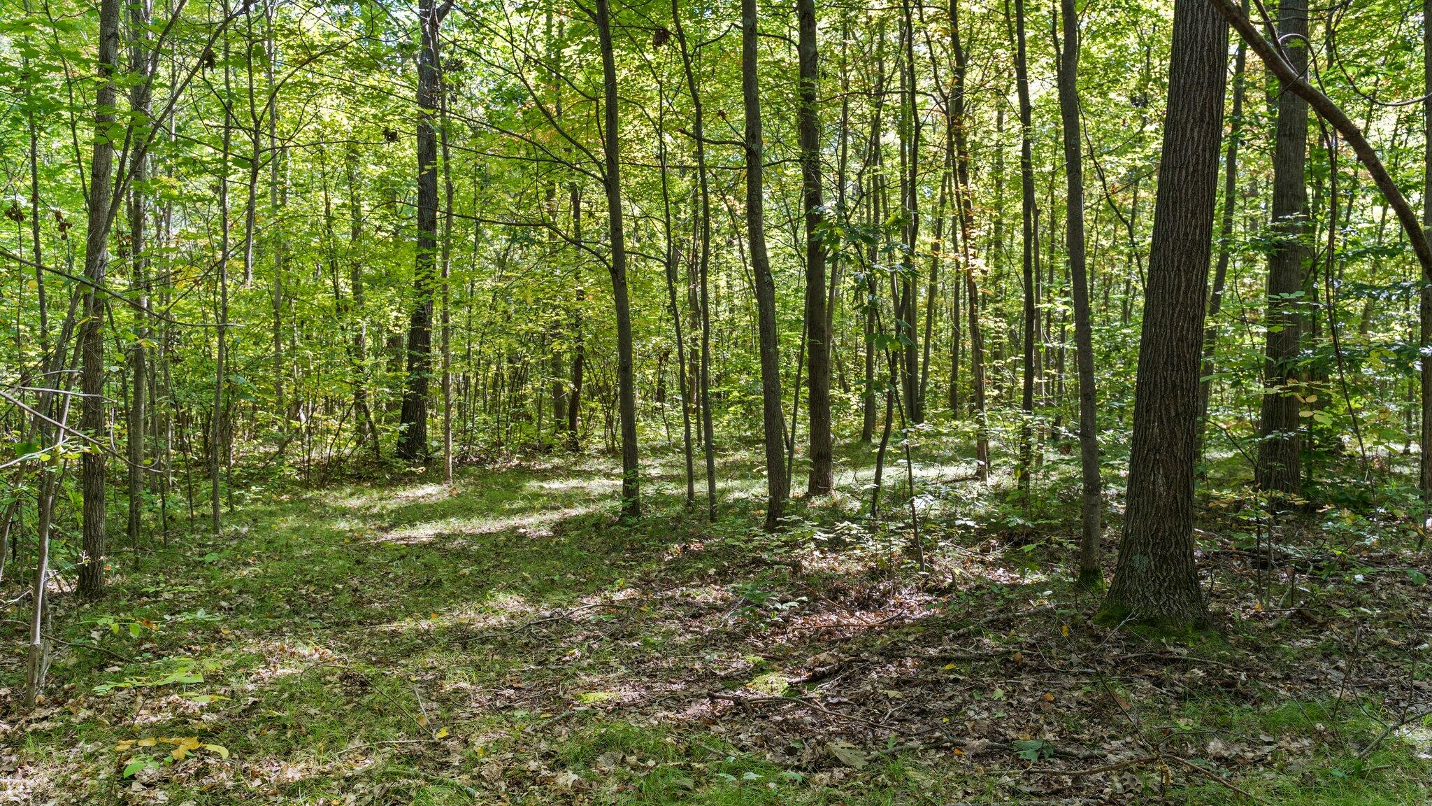 Taft Road Mecosta, MI 49332 - Photo 6 of 29 30-web-or-mls-DSC03168