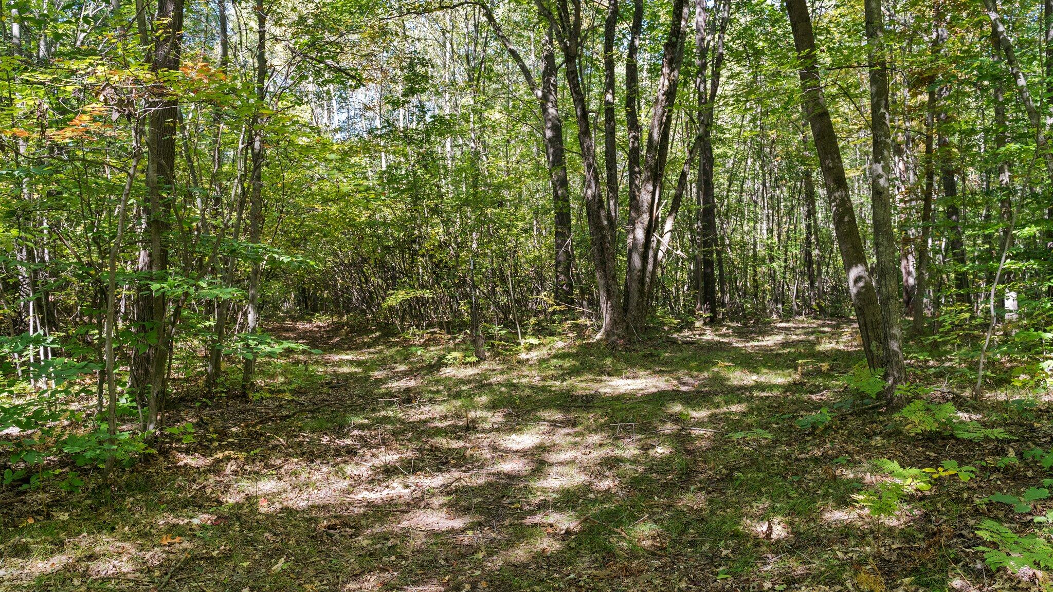 Taft Road Mecosta, MI 49332 - Photo 7 of 29 31-web-or-mls-DSC03169