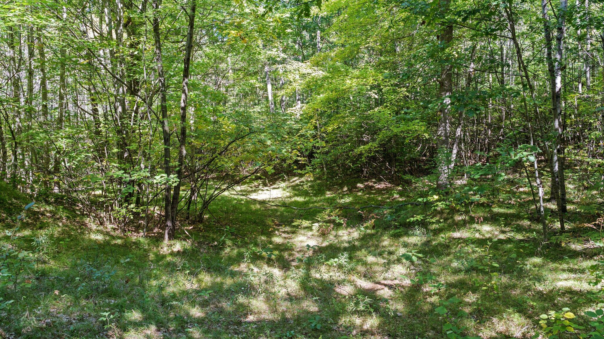 Taft Road Mecosta, MI 49332 - Photo 8 of 29 32-web-or-mls-DSC03170