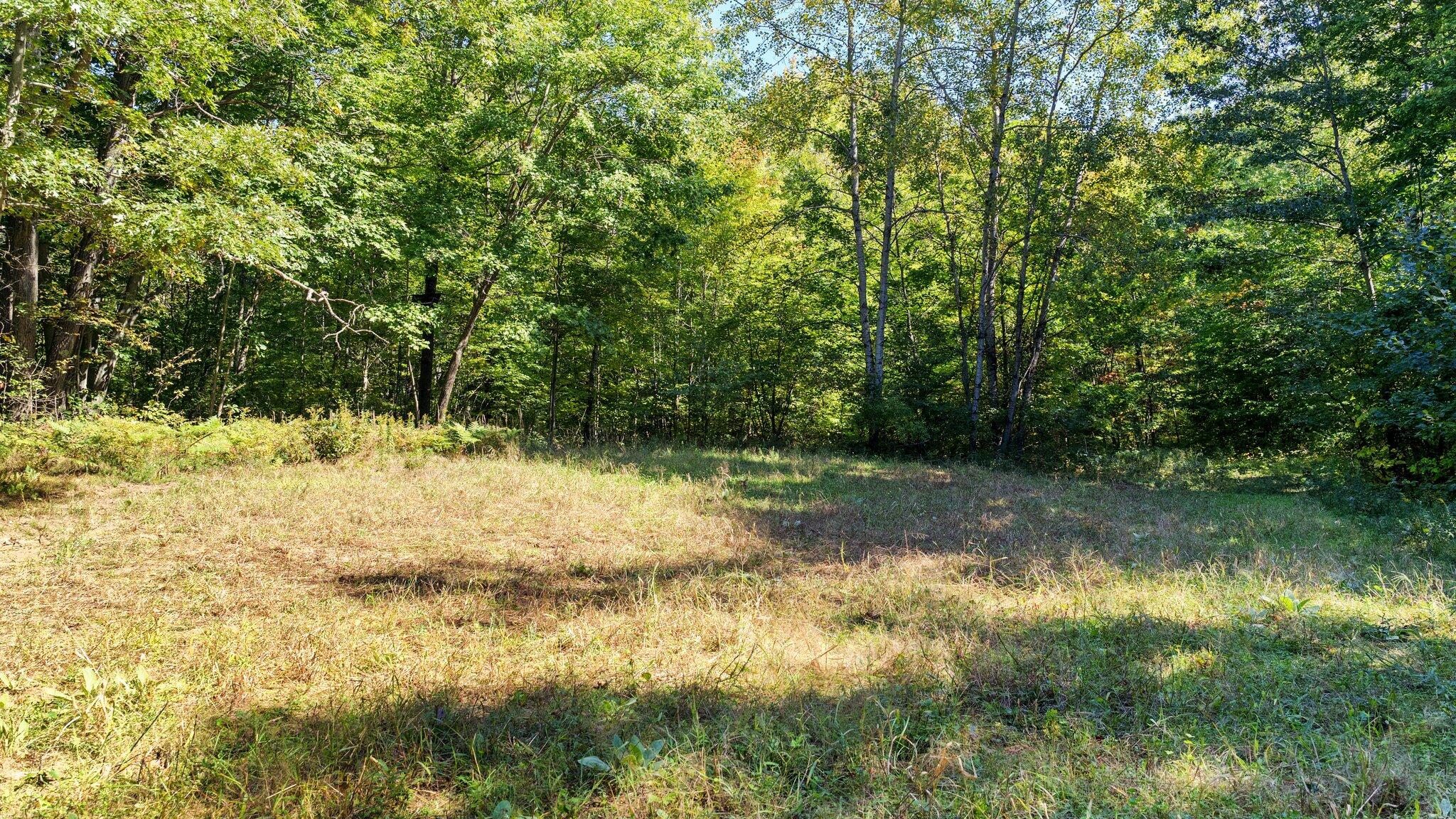 Taft Road Mecosta, MI 49332 - Photo 9 of 29 34-web-or-mls-DSC03172