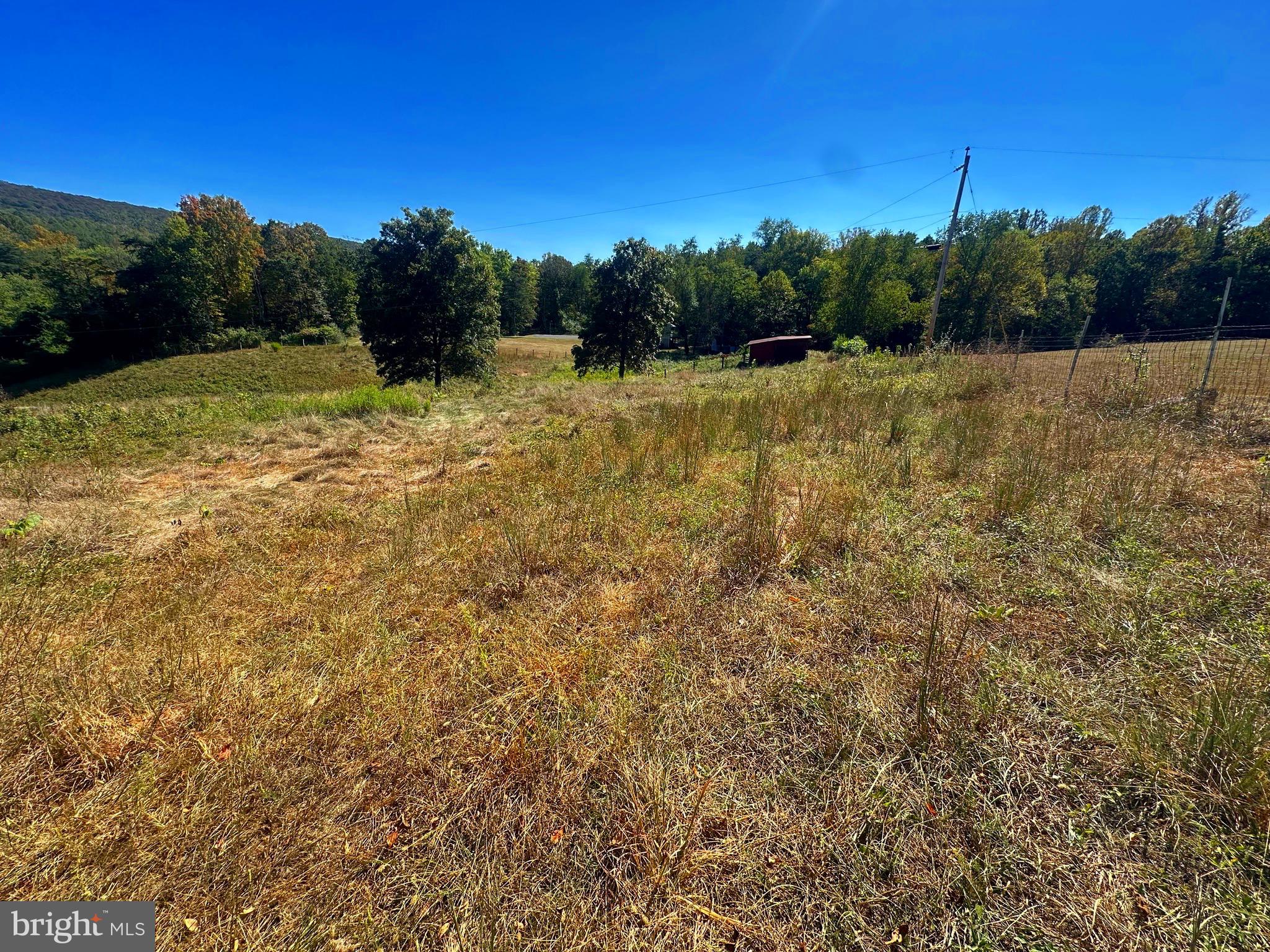 3500 Paw Paw Road Paw Paw, WV 25434 - Photo 5 of 48 a view of a field with trees in the background