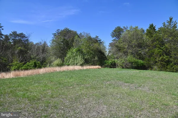 a view of grassy field with trees in the background