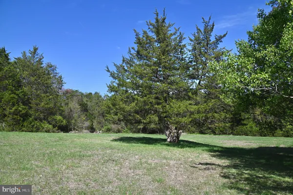 a view of a field