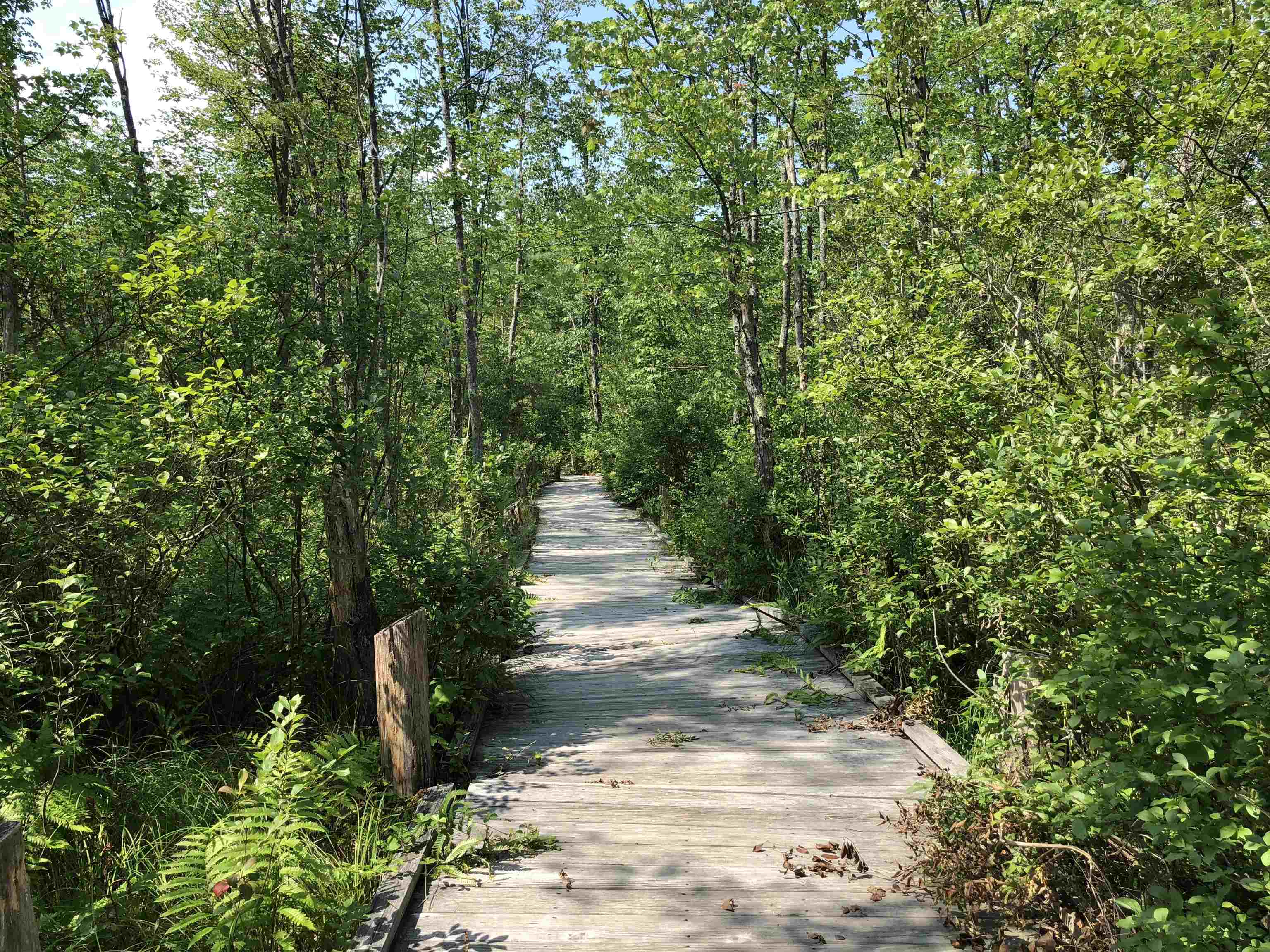 86 Main Street Ossipee, NH 03814 - Photo 32 of 40